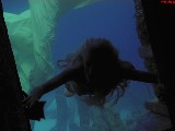 1024x768, 68 KB, Daryl_Hannah_Splash-1080p-05.jpg