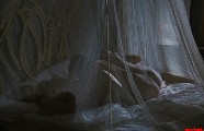 1024x768, 108 KB, mena_suvari_The_Garden_of_Eden_-01.jpg