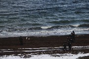 800x533, 152 KB, IMG_3533_resize.JPG