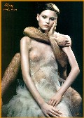 973x768, 116 KB, may_andersen-01.jpg