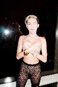 1024x768, 79 KB, miley_cyrus_topless_-2013-10-02.jpg