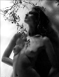 911x768, 89 KB, bl4ck-1DD-Rianne_ten-Haken-Tush5-ph_Andrea_Klarin.jpg