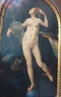 753x768, 77 KB, 018-jacopo_ligozzi_la_fortuna-01.jpg