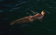 788x499, 42 KB, Mia_Wasikowska_-_Tracks-01.jpg