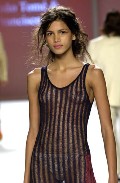 333x508, 40 KB, raica_oliveira_see_through.jpg