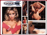 1024x768, 190 KB, morgan_fairchild2.jpg