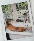 799x768, 83 KB, kate_hudson-bathtub.jpg