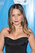 800x768, 87 KB, Sophia_Bush_at_the_5th_Annual_UNICEF_Masquerade_Ball_in_Los_Angeles.jpg