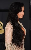 735x768, 82 KB, Demi_Lovato_sexy_at_59th_Grammy_Awards_in_LA.jpg