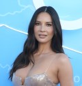 1024x768, 79 KB, Olivia_Munn_LA_Premiere_of_Starzs_The_Rook_in_Los_Angeles.jpg