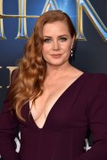 799x768, 69 KB, Amy_Adams_Disenchanted_Premiere_in_LA_-01.jpg