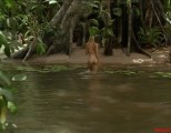 1024x768, 110 KB, daryl_hannah-At_Play_in_the_Fields_of_the_Lord-01.jpg
