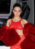 862x768, 79 KB, Charli_XCX_see_through_2022-04-02.jpg