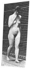 239x496, 24 KB, woman_walking_by_Eadweard_Muybridge.gif