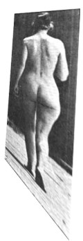 205x594, 24 KB, woman_walking_from_behindby_Eadweard_Muybridge.gif