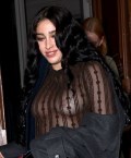 623x754, 104 KB, Lourdes_Leon__see_through_2026-03-01.jpg