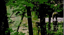 Ariadne Shaffer in Beneath the Mississippi