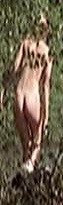 Ludivine Sagnier nude in La banquise