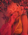 Kylie Jenner in see  through