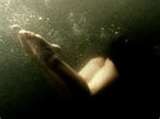 Alicja Bachleda-Curus in Ondine