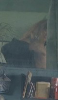 Aliette Opheim nude in Katla