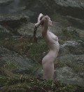 Alyssa Sutherland nude in Vikings