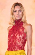 Anja Rubik in see  through