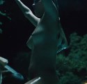 Anouk Samuel nude in Euphoria