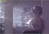 Barbara Niven nude in Illegal Entry: Formula for Fear