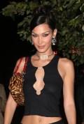 Bella Hadid in see  through