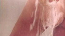 Betsy Russell nude in Tomboy