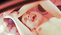 Caroline Fauvet nude in "R.I.S. Police scientifique"