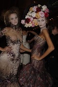Caroline Trentini in see through
