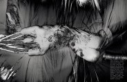 Catherine McNeil nude in Numero