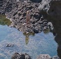 Dakota Johnson nude in A Bigger Splash