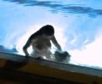 Héléna Noguerra nude in L'homme de nos vies