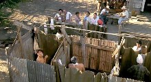 Elizabeth Peña nude in La Bamba