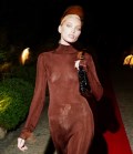 Elsa Hosk in see  through