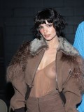 Emily Ratajkowski in see  through