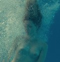 Evelyne Brochu nude in Café de Flore