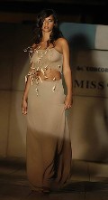 Francesca Chillemi in see  through