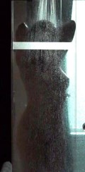 Halina Reijn nude in  Red Light
