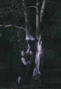 Iliana Zabeth nude in Liberté