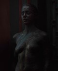 Isabel Lucas nude in Immortals
