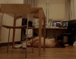 Jasna Fritzi Bauer nude in "Zeit der Helden"