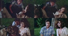 Jodi Thelen nude in Four Friends