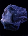 Julia Montgomery nude in Unknown Magazine