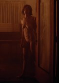 Julianne Nicholson nude in Blonde