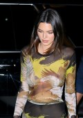 Kendall Jenner in see  through