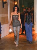 Kendall Jenner in see  through